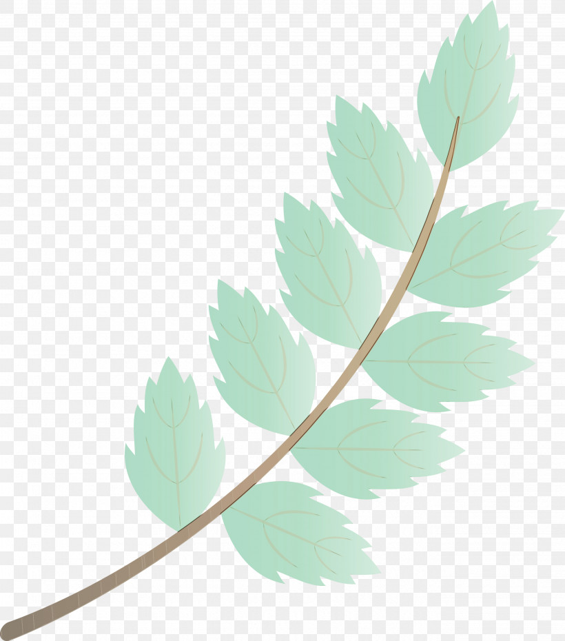 Twig Leaf Plant Stem Autumn, PNG, 2644x3000px, Fall Leaf, Autumn, Autumn Leaf, Black And White, Flower Download Free