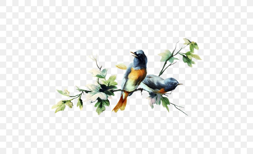 Chez Michel Day Sparrow Image Bird, PNG, 500x500px, Day, Art, Beak, Bird, Bluebird Download Free