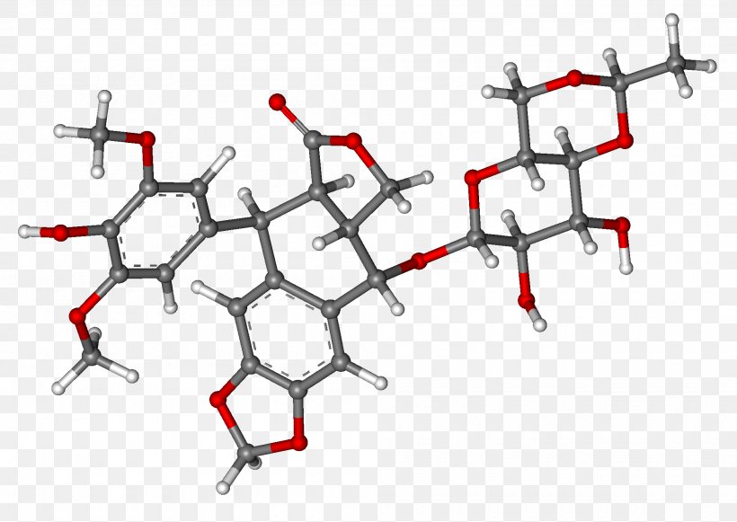 Etoposide Epipodophyllotoxin Podophyllum Peltatum Pharmaceutical Drug Cancer, PNG, 2000x1418px, Etoposide, Area, Auto Part, Automotive Exterior, Cancer Download Free