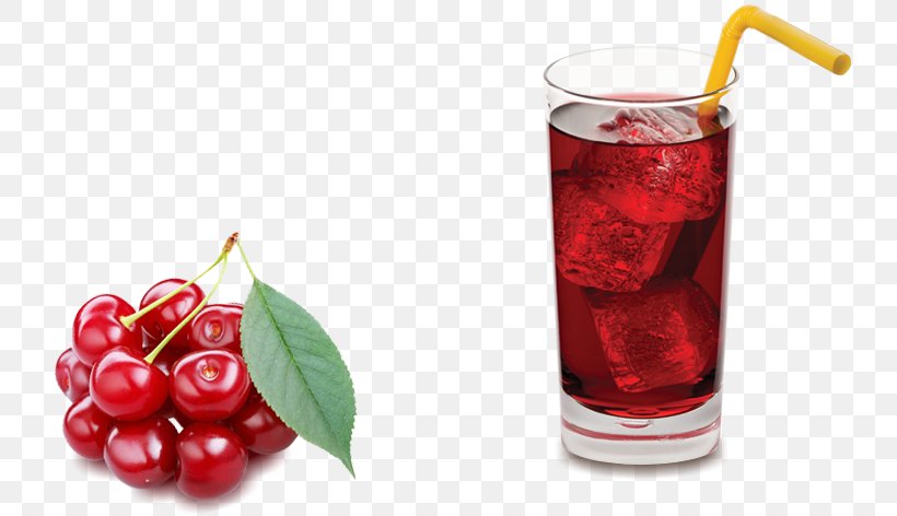 Juice Auglis Flavor Wine Cocktail Melatonin, PNG, 737x472px, Juice, Antiinflammatory, Auglis, Berry, Blueberry Tea Download Free