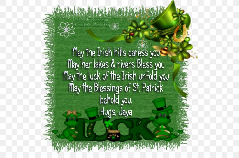 Saint Patrick's Day Grasses Herbalism Leaf Font, PNG, 540x540px, Grasses, Grass, Grass Family, Herbalism, Leaf Download Free