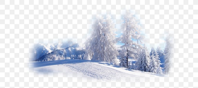 Desktop Wallpaper Winter Nature Snow Landscape, PNG, 650x365px, Winter, Arctic, Astronomy, Blizzard, Computer Download Free