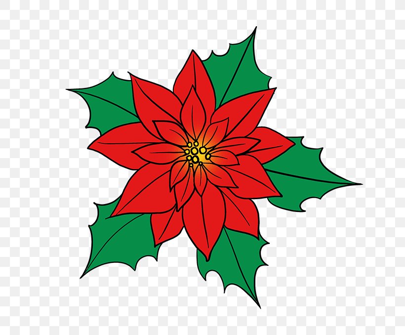 Poinsettia Flower Drawings Illustration Image, PNG, 680x678px, Poinsettia, Botanical Illustration, Botany, Christmas Day, Coloring Book Download Free