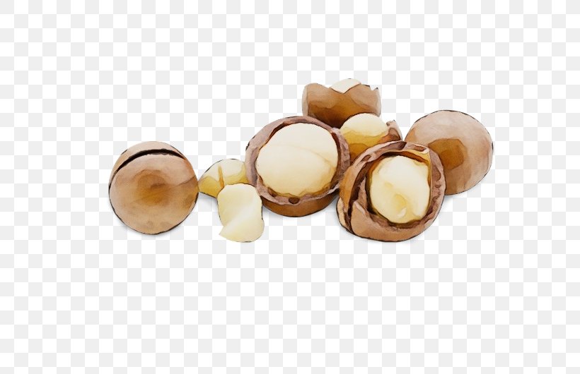 Macadamia Nut Beige Jewellery Plant, PNG, 600x530px, Watercolor, Bead, Beige, Food, Jewellery Download Free