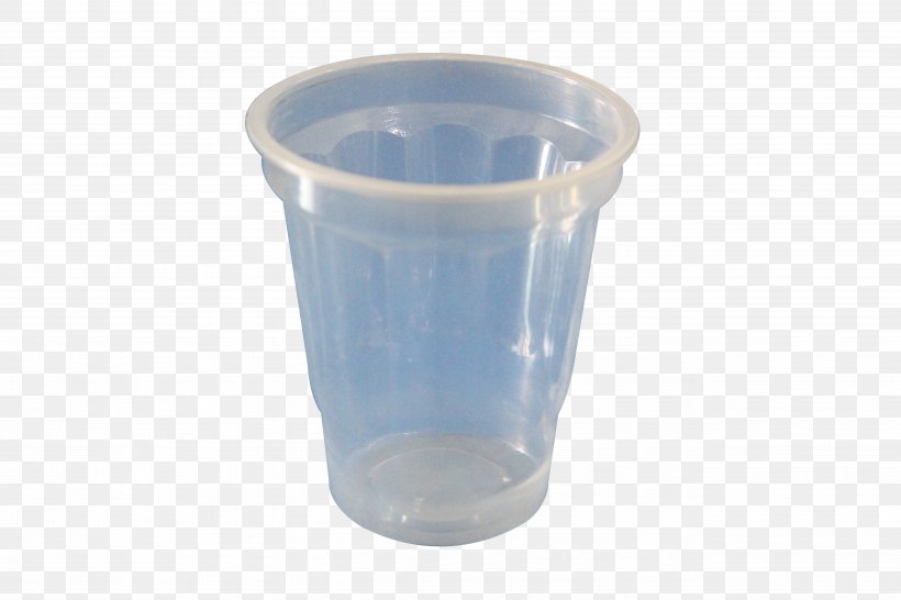 Plastic Cup Diameter Plastic Cup Weight, PNG, 5184x3456px, Cup, Diameter, Drink, Drinkware, Flower Download Free