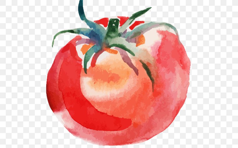 Tomato Soup Watercolor Painting Drawing, PNG, 512x512px, Tomato Soup, Apple, Art, Bush Tomato, Cherry Tomato Download Free