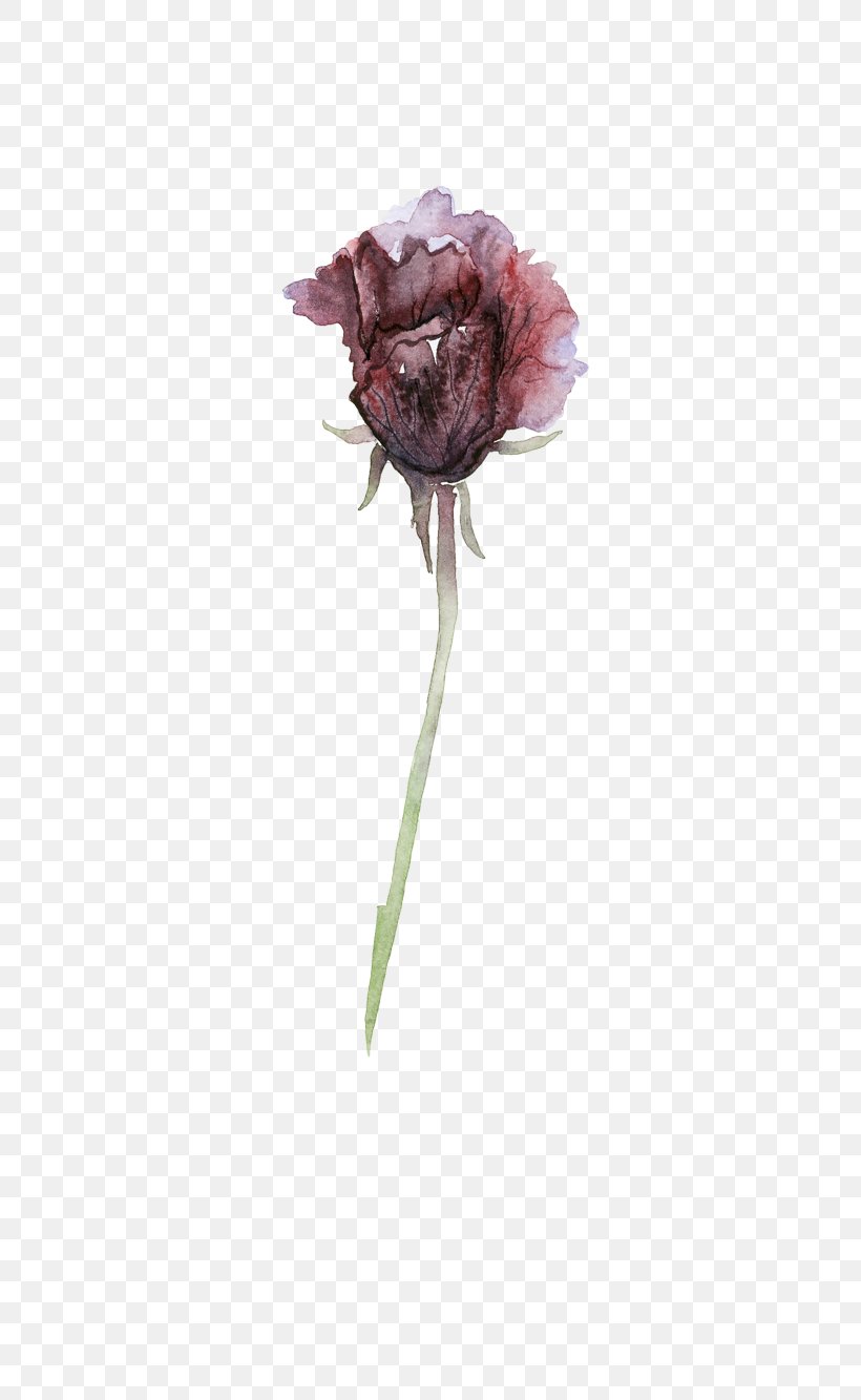 Garden Roses Centifolia Roses Flower Darkness, PNG, 700x1333px, Flower, Carnation, Close Up, Cut Flowers, Dark Pattern Download Free