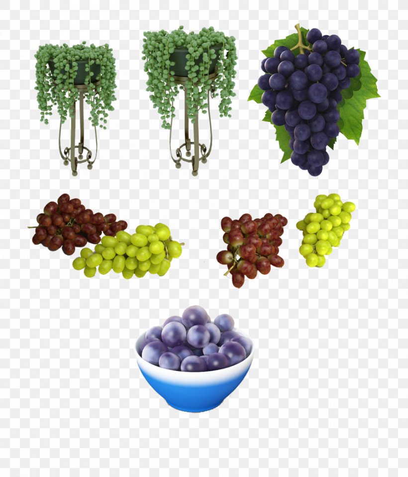 Grape DeviantArt Germany Fruit, PNG, 900x1052px, Grape, Art, Blogger, Deviantart, Fancy Shapes Download Free