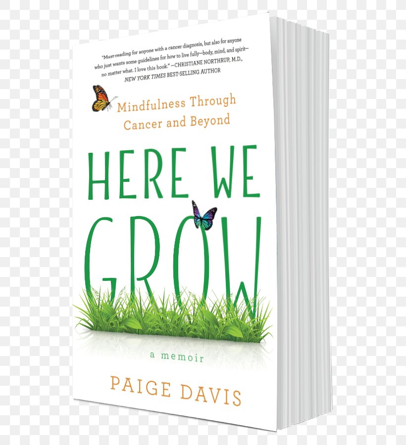 Here We Grow: Mindfulness Through Cancer And Beyond Here We Are: Notes For Living On Planet Earth Raw: My Journey From Anxiety To Joy Book Author, PNG, 643x900px, Book, Author, Book Review, Brand, Ebook Download Free
