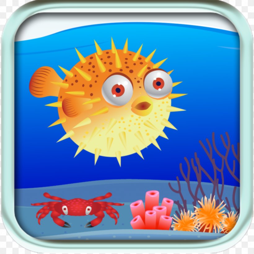 Marine Biology Fish, PNG, 1024x1024px, Marine Biology, Biology, Fish, Orange, Organism Download Free