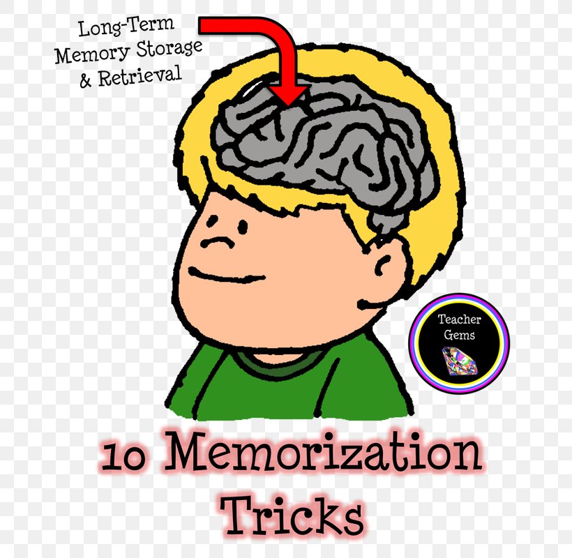 Memorization Study Skills Teacher Clip Art, PNG, 697x800px, Watercolor, Cartoon, Flower, Frame, Heart Download Free