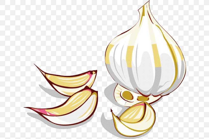 Plant Garlic Allium, PNG, 640x546px, Plant, Allium, Garlic Download Free