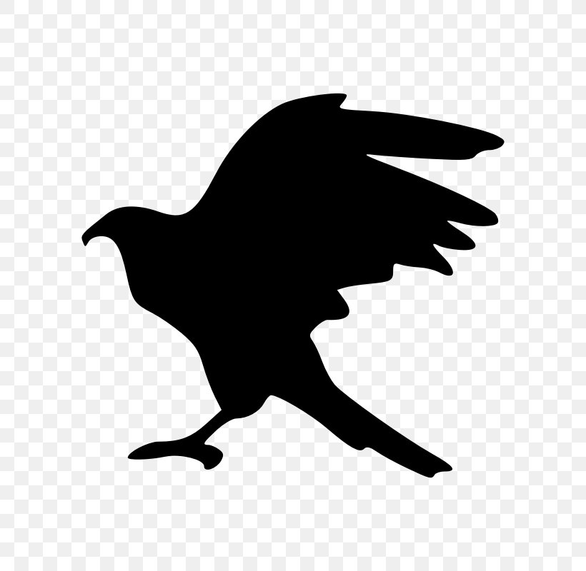 AutoCAD DXF Clip Art, PNG, 800x800px, Autocad Dxf, Beak, Bird, Black, Black And White Download Free