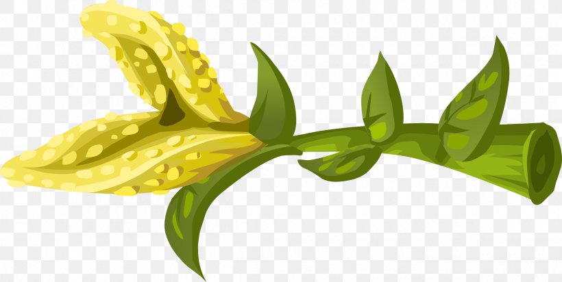 Flower Clip Art, PNG, 2400x1206px, Flower, Flora, Leaf, Organism, Plant Download Free