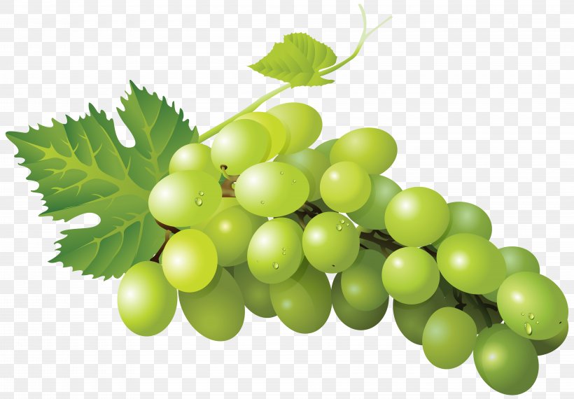 Sultana Grape Zante Currant Seedless Fruit Sauvignon Blanc, PNG, 8000x5570px, Sultana, Food, Fresh Del Monte Japan, Fruit, Grape Download Free