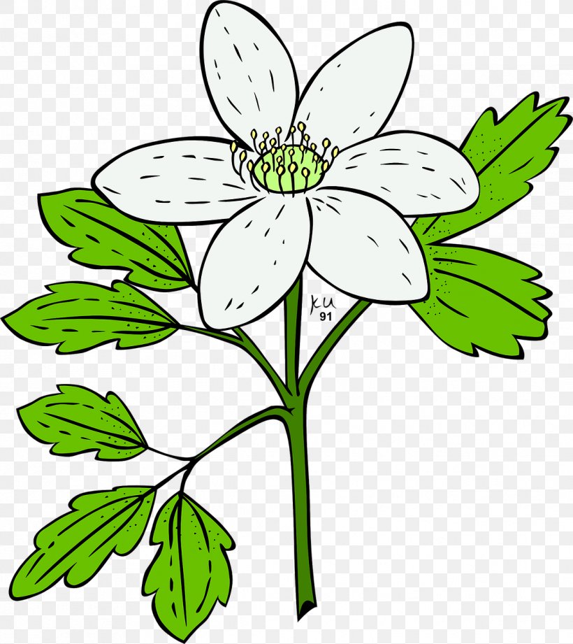 Clip Art Openclipart Flower Anemone Plants, PNG, 1139x1280px, Flower, Anemone, Anemone Piperi, Artwork, Black And White Download Free