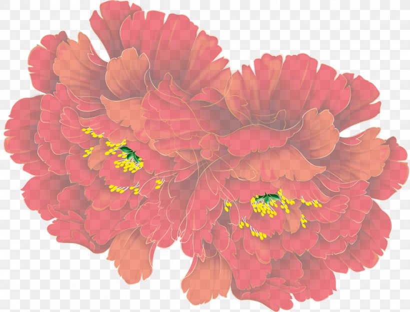 Cut Flowers Floral Design Transvaal Daisy Peony, PNG, 1200x915px, Flower, Annual Plant, Carnation, Cut Flowers, Family Download Free