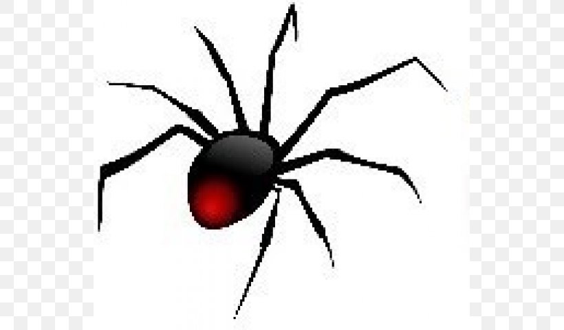 Redback Spider Clip Art Openclipart Image, PNG, 640x480px, Spider, Arachnid, Arthropod, Black House Spider, Black Widow Download Free
