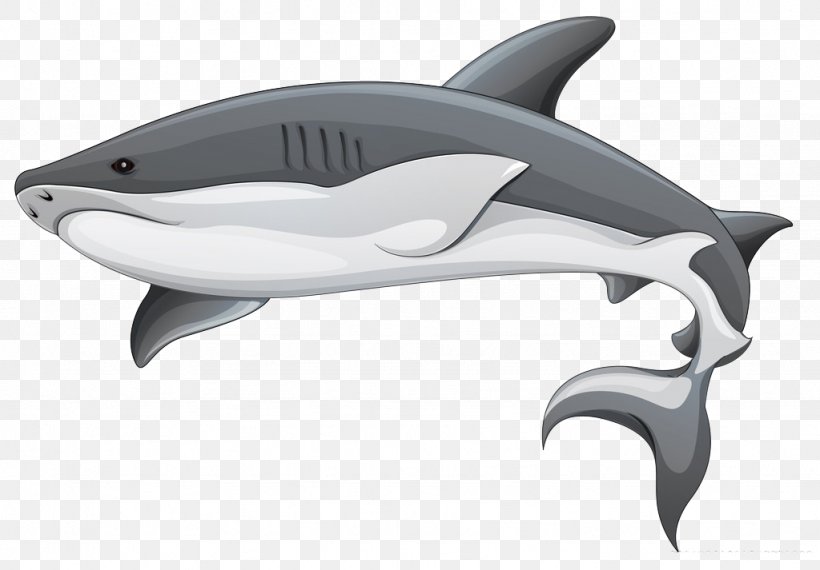 Shark Fin Soup Shark Finning Clip Art, PNG, 1024x713px, Shark, Automotive Design, Basking Shark, Bull Shark, Carcharhinus Amblyrhynchos Download Free