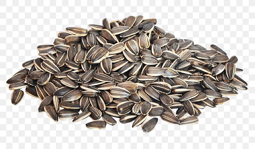 Nut Sunflower Seed Common Sunflower, PNG, 800x480px, Nut, Auglis, Commodity, Common Sunflower, Food Download Free