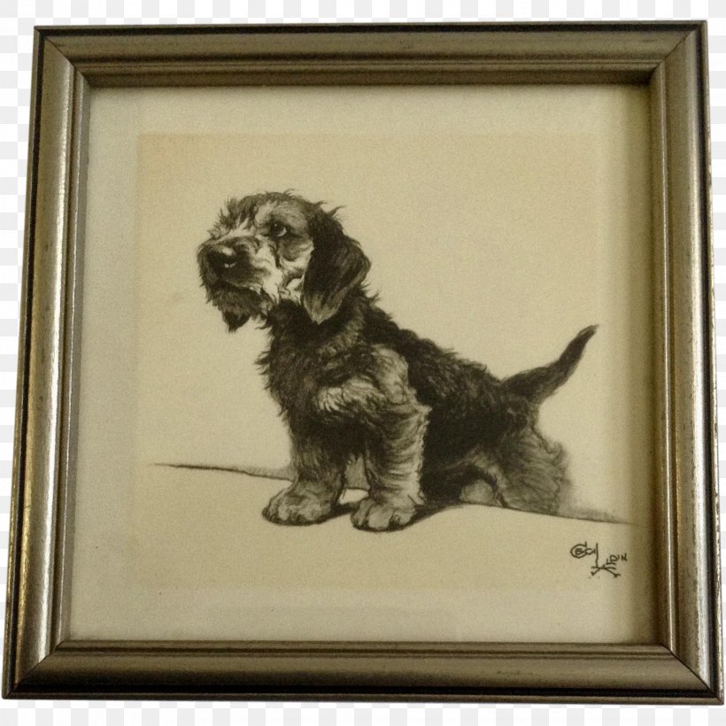 Cockapoo Cesky Terrier Puppy Dog Breed Spaniel, PNG, 1633x1633px, Cockapoo, Artwork, Breed, Carnivoran, Cesky Terrier Download Free