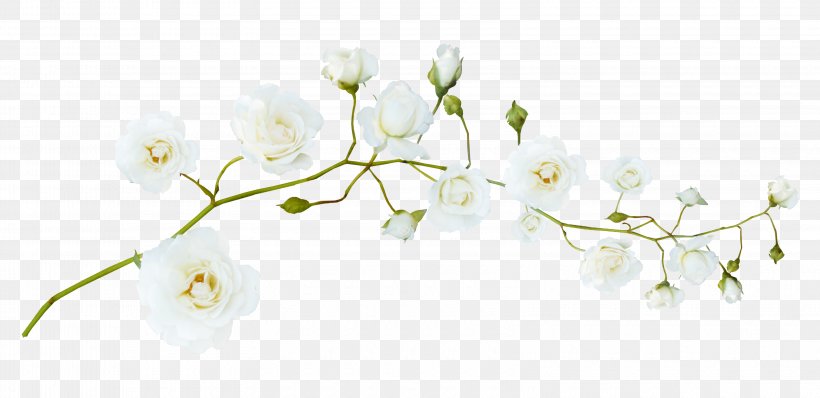 Flower Clip Art, PNG, 3200x1554px, Flower, Blossom, Branch, Flora, Floraison Download Free