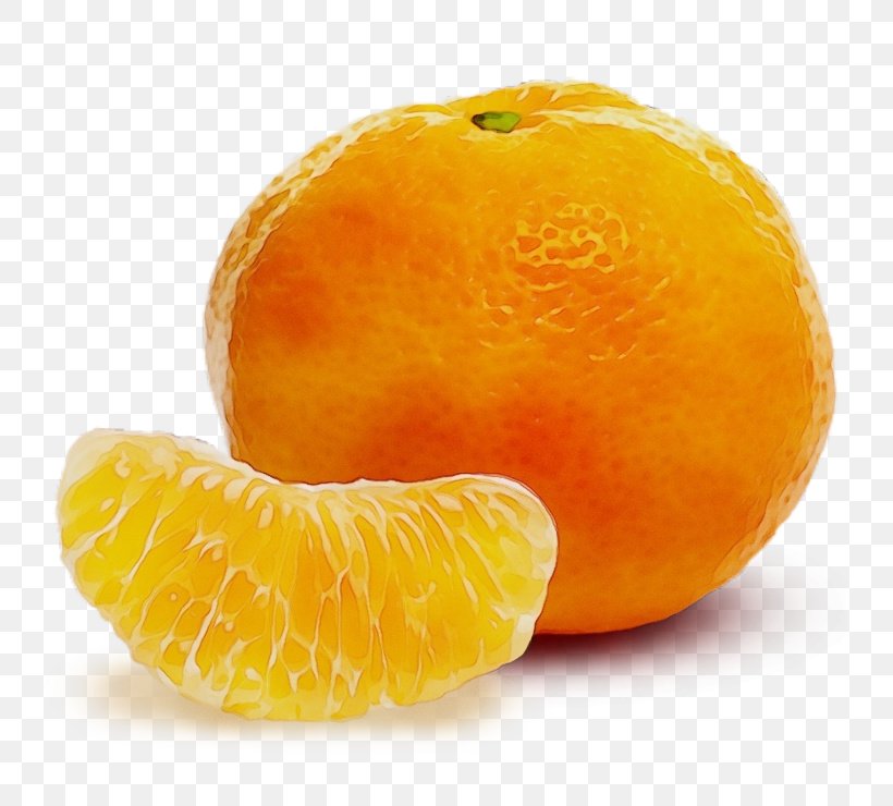 Citrus Fruit Mandarin Orange Tangerine Natural Foods, PNG, 740x740px, Watercolor, Citrus, Clementine, Food, Fruit Download Free