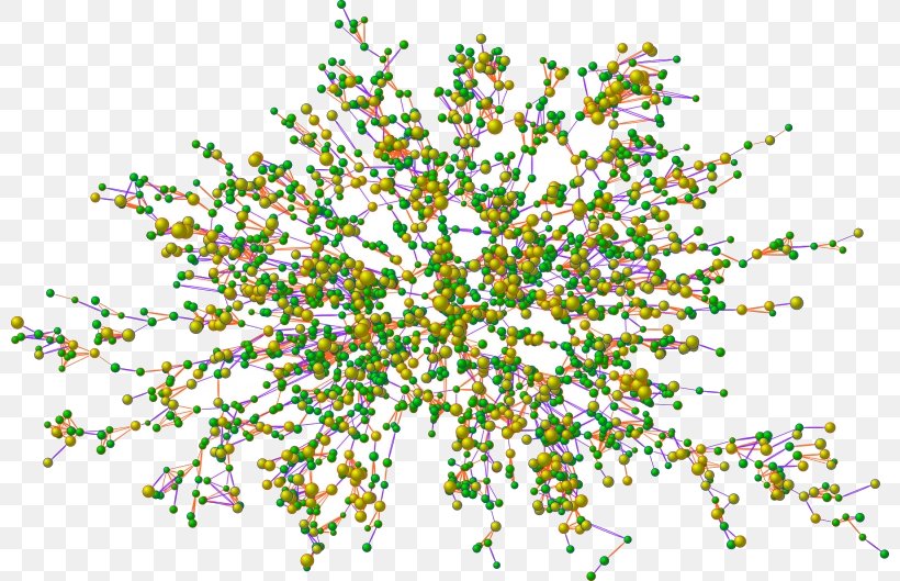 Graph Database Neo4j Directed Graph Degree, PNG, 800x529px, Graph, Art, Branch, Computer Science, Degree Download Free