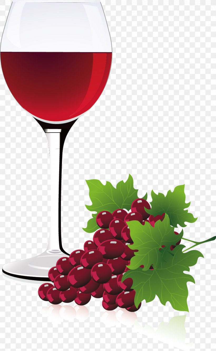 Red Wine Common Grape Vine, PNG, 872x1414px, Red Wine, Auglis, Champagne Stemware, Common Grape Vine, Drink Download Free