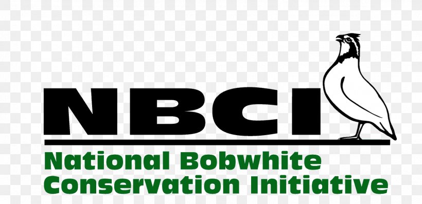 Tennessee Northern Bobwhite Conservation Movement Wildlife, PNG, 1526x740px, Tennessee, Advertising, Area, Beak, Bird Download Free