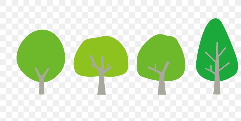 Tree Forest Shulin District Gratis, PNG, 800x411px, Tree, Branch, Forest, Grass, Gratis Download Free