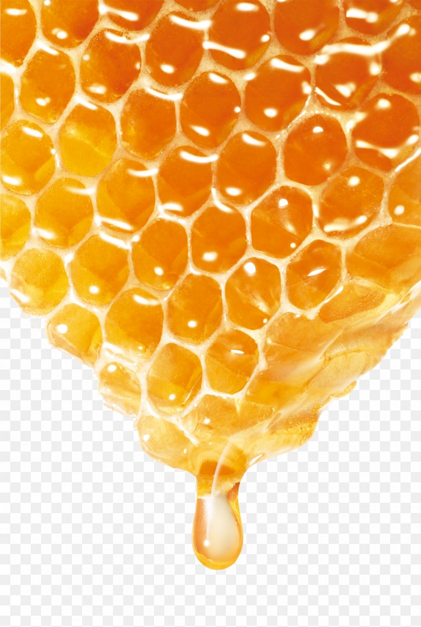 Bee Honey, PNG, 1913x2852px, Bee, Gratis, Honey, Honey Bee, Honeycomb