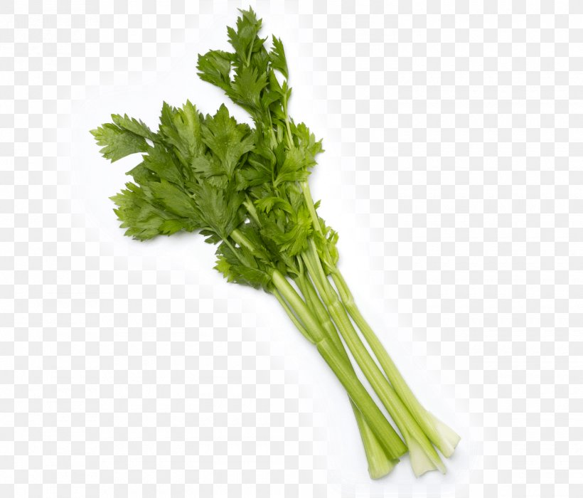 Celery Parsley Vegetable Coriander Tomato, PNG, 1500x1282px, Celery, Chard, Cichorium Endivia, Coriander, Cultivar Download Free