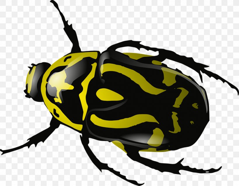 Drawing Dung Beetle Clip Art, PNG, 924x720px, Drawing, Arthropod, Artwork, Beetle, Darkling Beetle Download Free