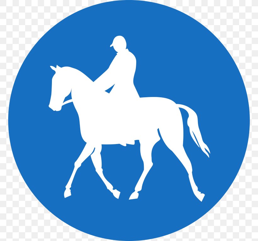 Clip Art Transparency Image, PNG, 768x768px, Logo, Bridle, Button, Colt, Equestrian Sport Download Free