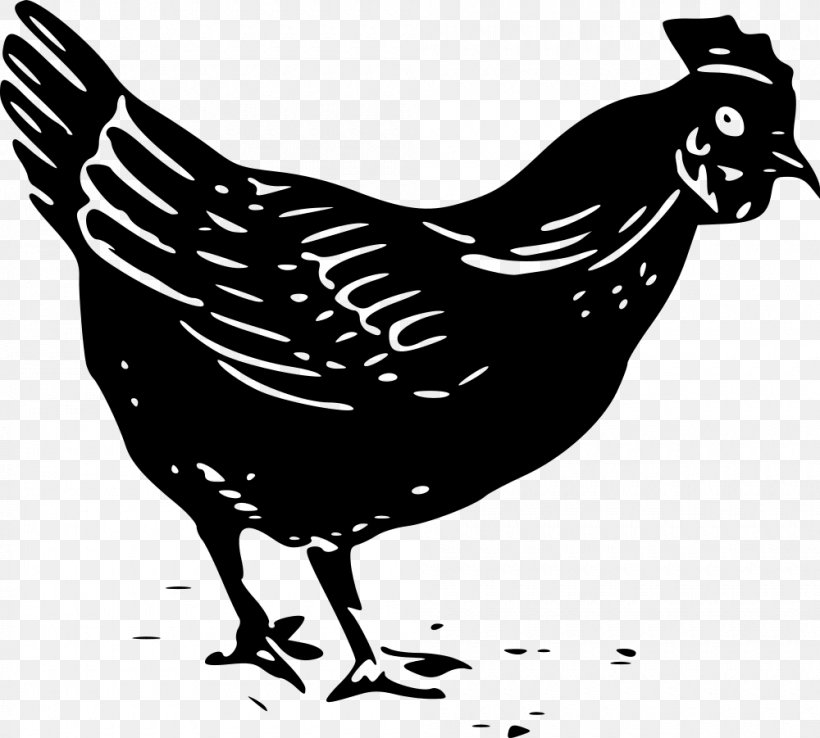 Silkie Ayam Cemani Chicken As Food Buffalo Wing Clip Art, PNG, 1000x901px, Silkie, Ayam Cemani, Beak, Bird, Black And White Download Free
