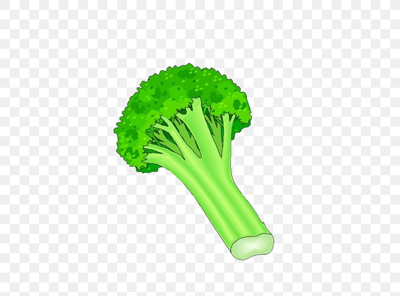 Broccoli Vegetable Clip Art, PNG, 729x608px, Broccoli, Cabbage, Cauliflower, Celery, Chinese Cabbage Download Free