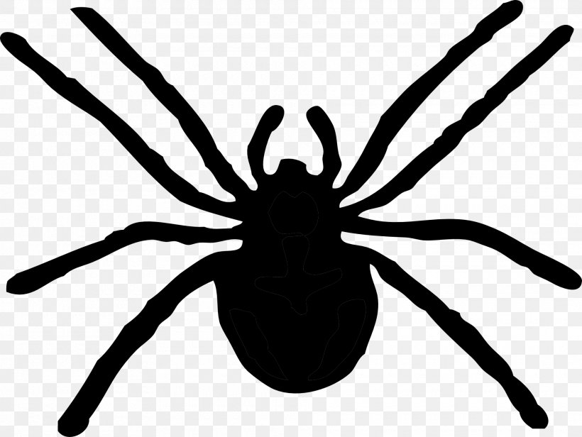 Clip Art Openclipart Spider Free Content Vector Graphics, PNG, 1920x1443px, Spider, Arachnid, Araneus, Arthropod, Black Download Free