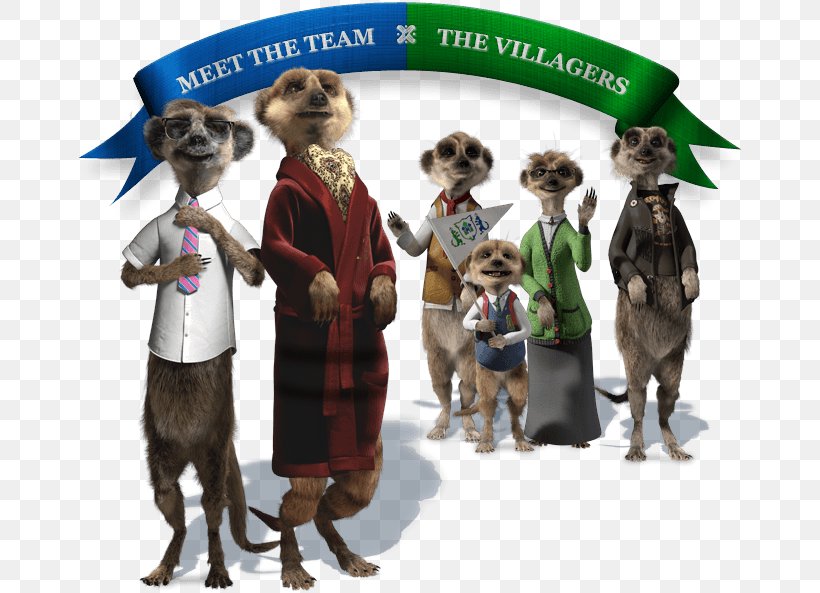 Compare The Meerkat Comparethemarket.com Advertising Television Advertisement, PNG, 665x593px, Meerkat, Advertising, Aleksandr Orlov, Animation, Canidae Download Free