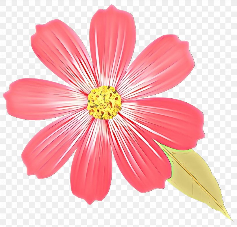 Flower Drawings Colored Pencil, PNG, 2998x2878px, Drawing, Barberton Daisy, Botany, Color, Colored Pencil Download Free