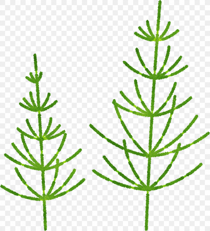 Plant Stem Twig Leaf Herbal Medicine Subshrub, PNG, 1456x1598px, Plant Stem, Biology, Grasses, Herbal Medicine, Leaf Download Free