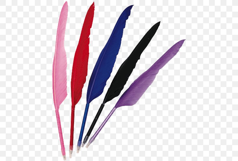 Quill Feather Ballpoint Pen Pencil, PNG, 555x555px, Quill, Ballpoint Pen, Black, Centimeter, Classroom Download Free