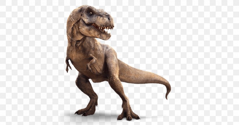 Rex Dinosaur Allosaurus Ceratosaurus Triceratops, PNG, 950x500px, Rex, Allosaurus, Ankylosaurus, Ceratosaurus, Dinosaur Download Free