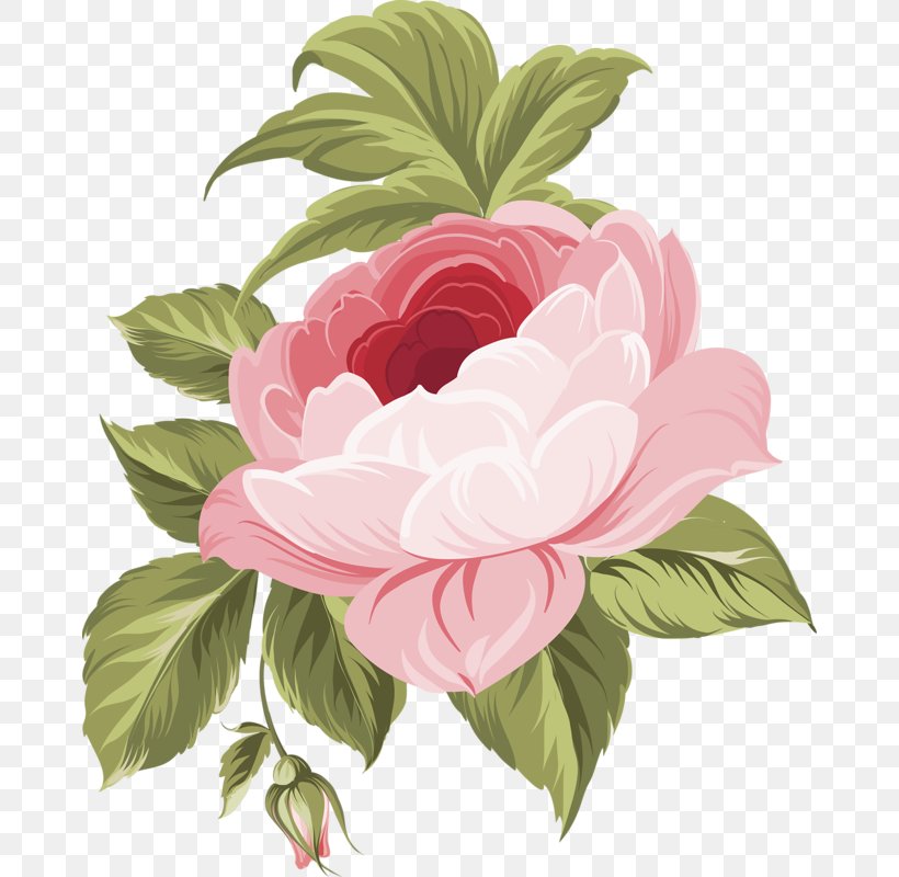 Flower Floral Design Rose, PNG, 670x800px, Flower, Blue, Blue Flower, Camellia, Cut Flowers Download Free