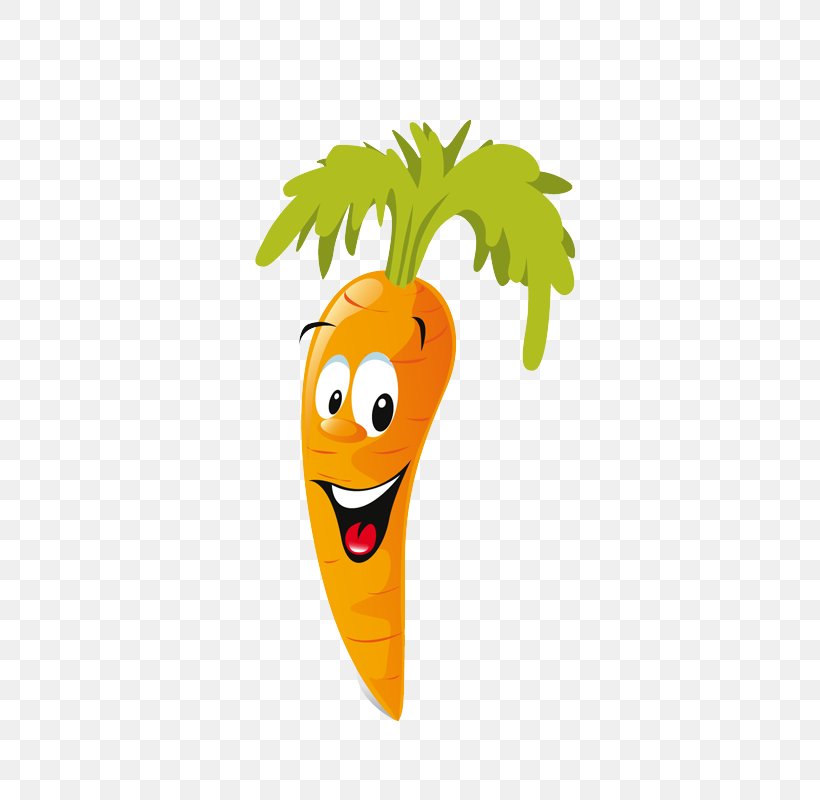 Cartoon Vegetable Carrot Clip Art, PNG, 800x800px, Vegetable, Animation, Carrot, Cartoon, Food Download Free
