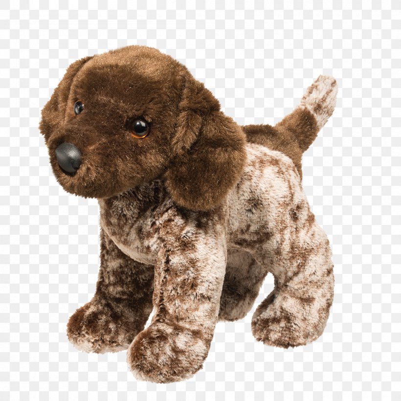 Dog Breed Puppy German Shorthaired Pointer Chesapeake Bay