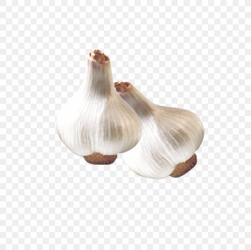 Garlic Fresh, PNG, 1181x1181px, Garlic, Food, Fresh, Vegetable Download Free