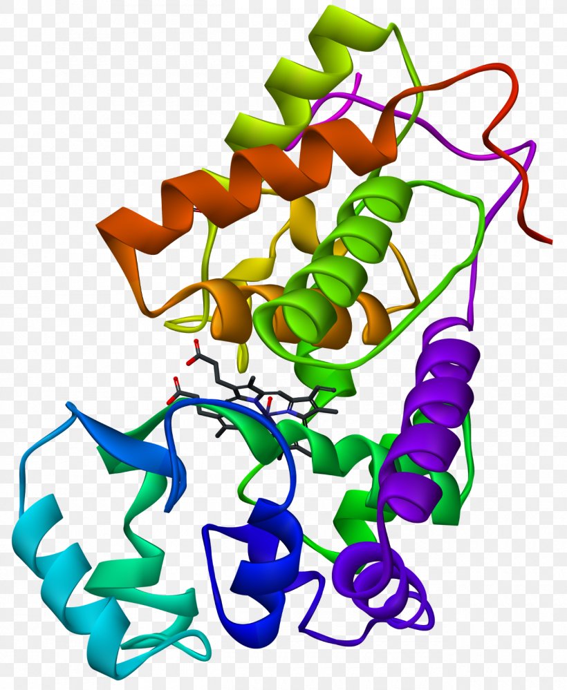 Horseradish Peroxidase Biochemistry Enzyme, PNG, 1300x1584px, Horseradish Peroxidase, Animal Figure, Area, Artwork, Biochemistry Download Free