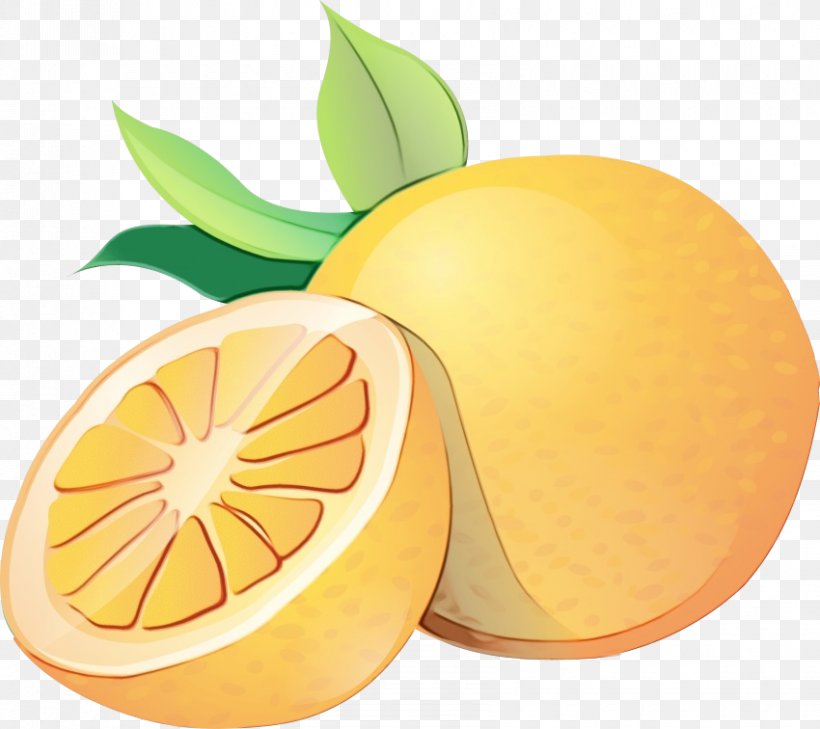 Orange, PNG, 850x756px, Watercolor, Citrus, Fruit, Grapefruit, Lemon Download Free