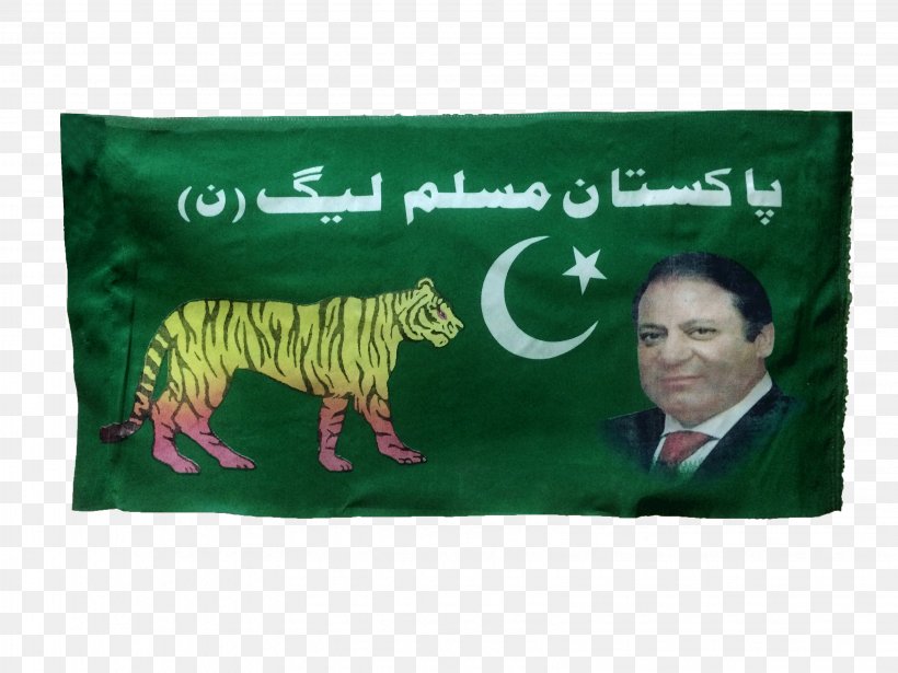 Pakistani General Election, 2018 Pakistan Muslim League Political Campaign, PNG, 3264x2448px, 2018, Pakistani General Election 2018, Allindia Muslim League, Business, Election Download Free